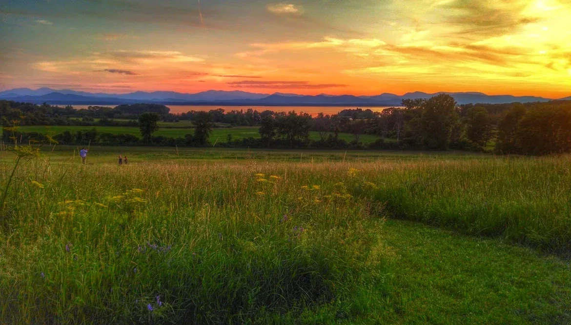 Sunset over the meadows of the office land in Shelburne, Vermont, with wildflowers in front and Lake Champlain and the mountains beyond. Photo by Shawn McGrath.